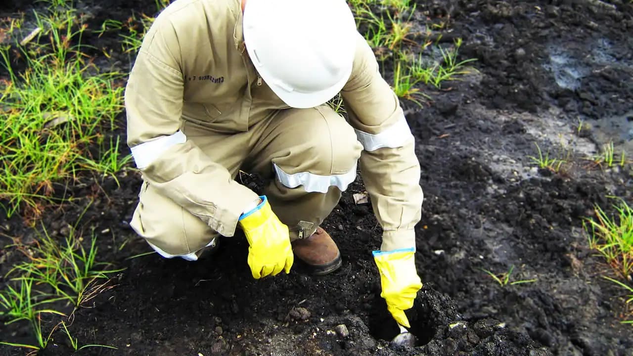 Remediación de Suelos Contaminados por Hidrocarburos